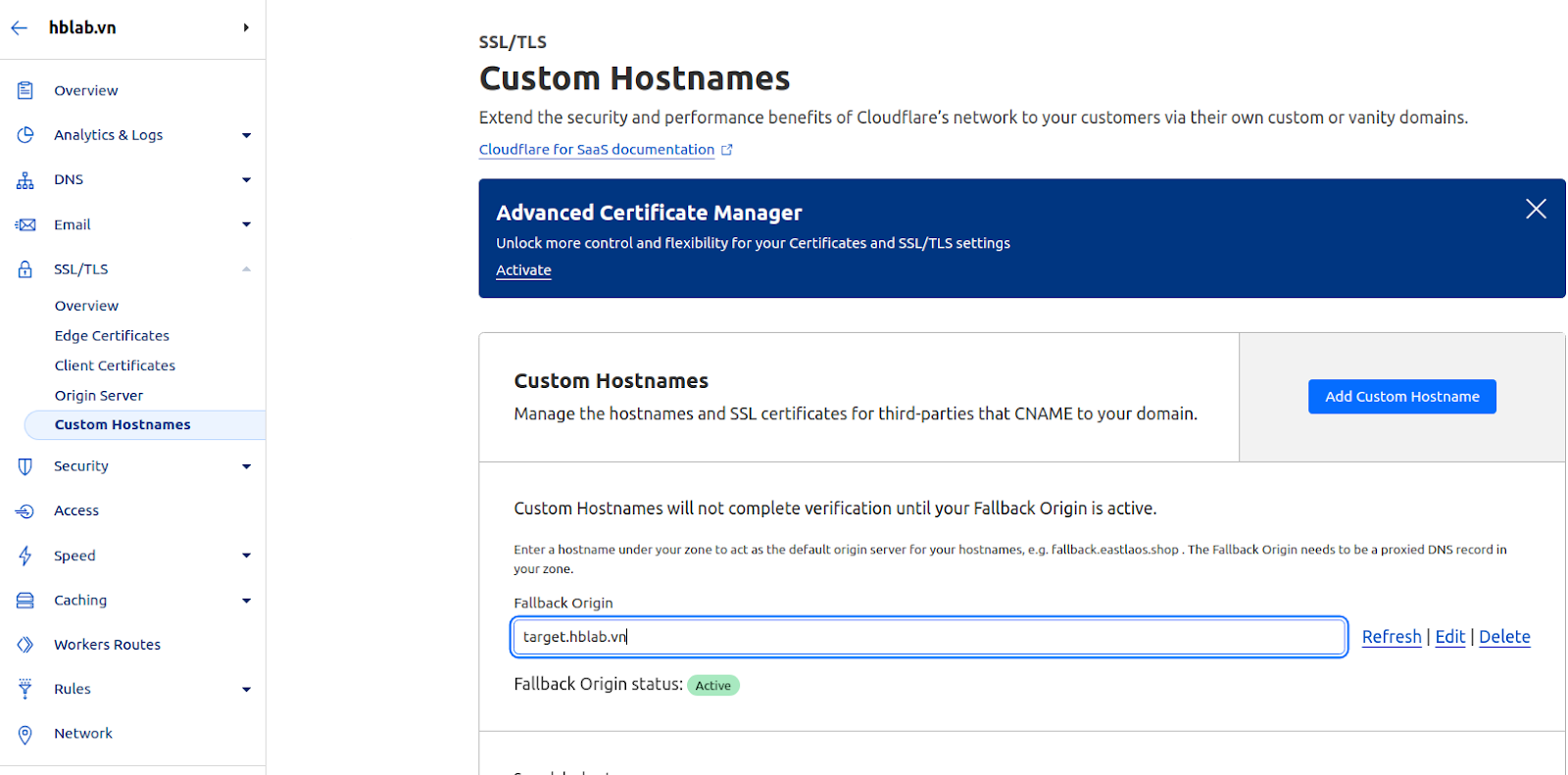 Custom Hostnames